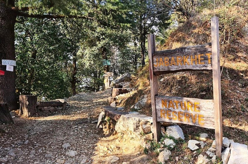 Jabarkhet Nature Reserve, Dehradun, Uttarakhand - Vushii.com Jabarkhet Nature Reserve, Dehradun, Uttarakhand - Vushii.com